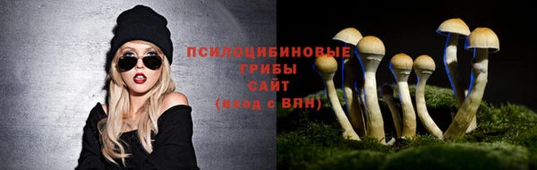 соль курить ск Богородск