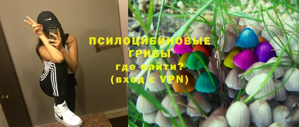 кристаллы Богданович