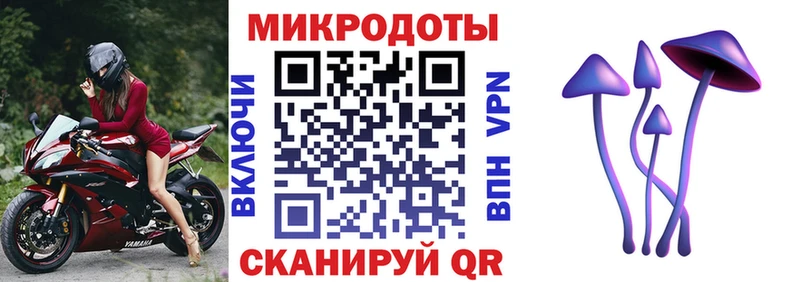 Галлюциногенные грибы Psilocybe  купить наркотики сайты  Нахабино 